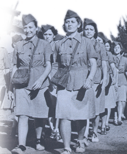 merlinettes.png