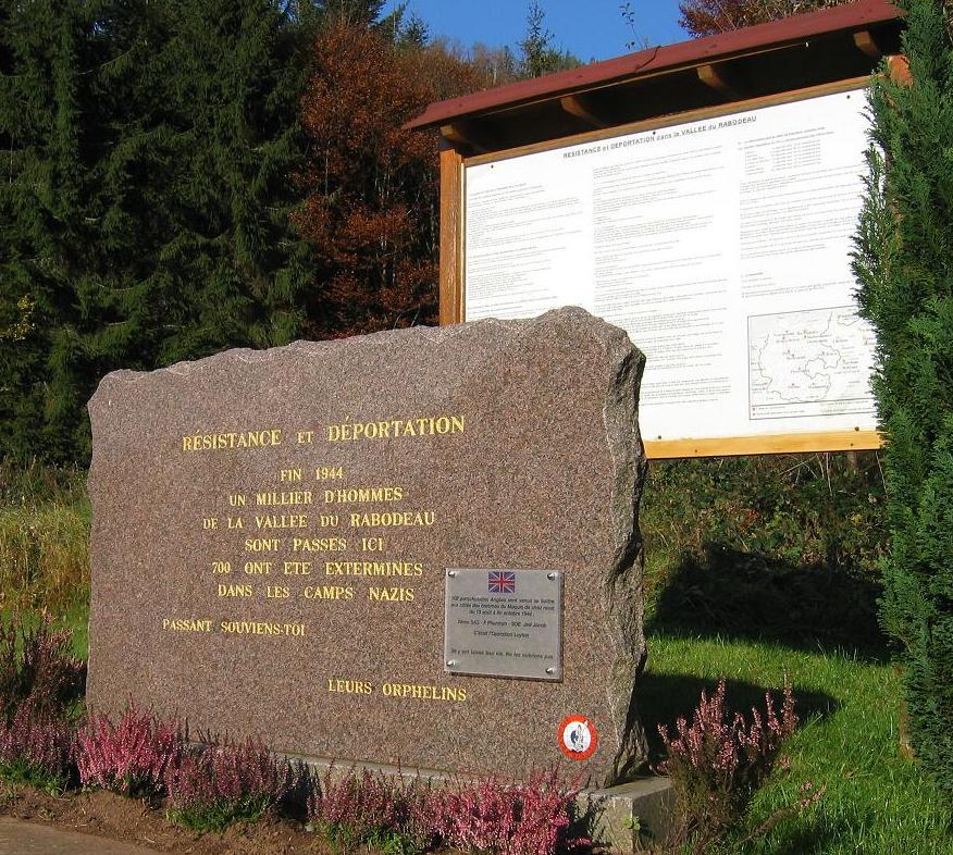 stelecolduhans.jpg