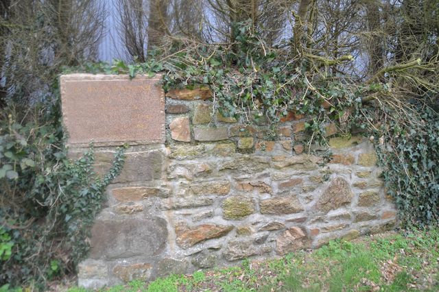 DSC_0644.JPG