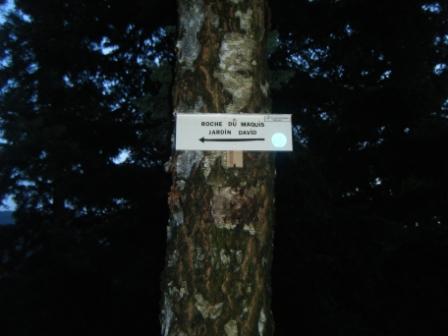 DSCF3754.JPG