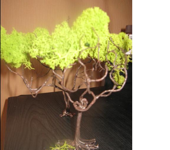 arbre 1.JPG