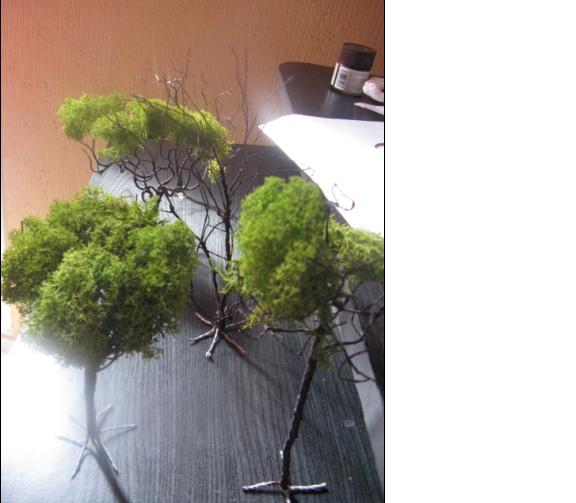 arbre 2.JPG
