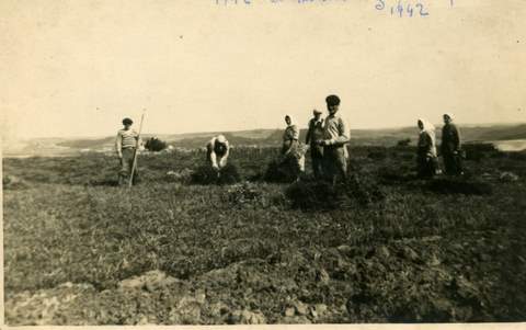 16 - 1942 Freudhofmaier R.jpg