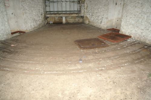 15-local canon.JPG