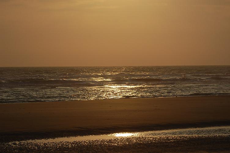 DSC_0626.JPG