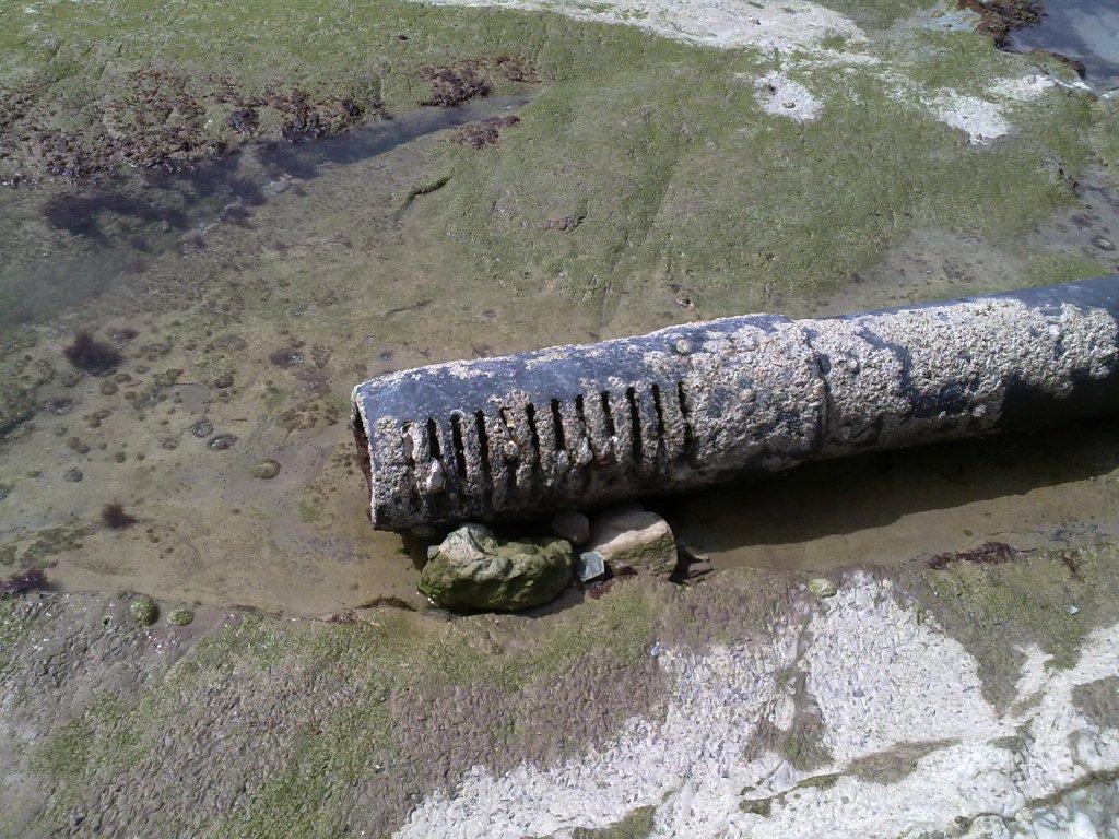 11092010048.jpg
