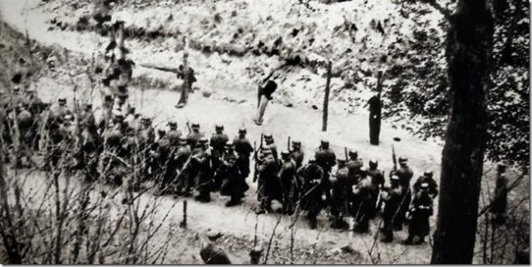 fusil[3].jpg