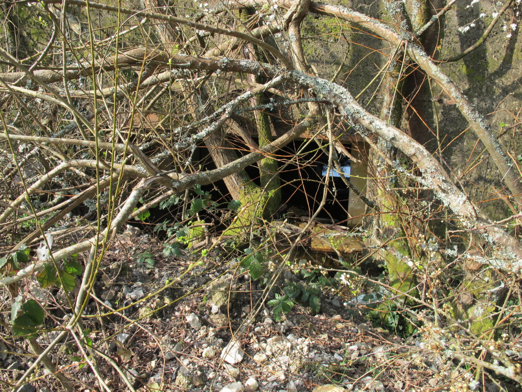 IMG_5243_1.jpg