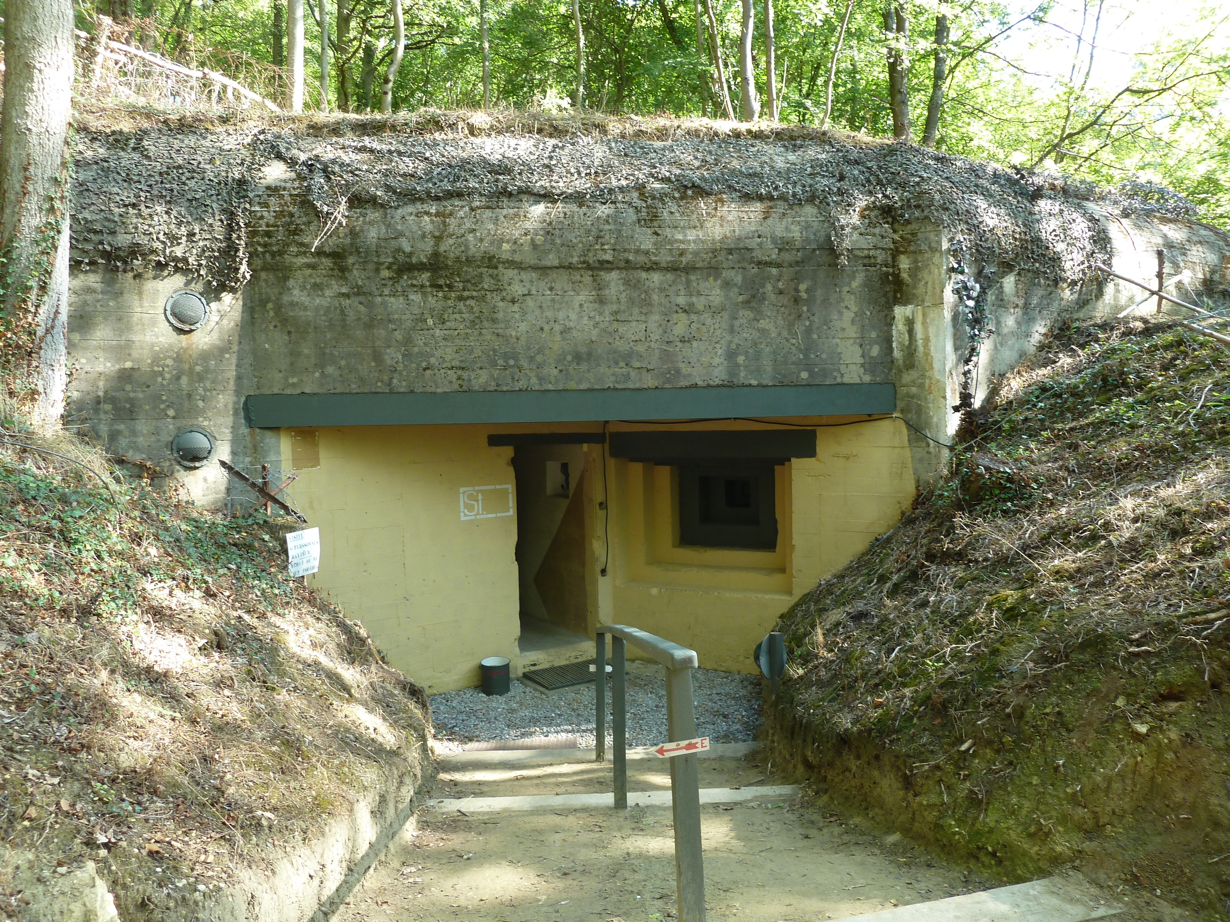 P1010188.JPG