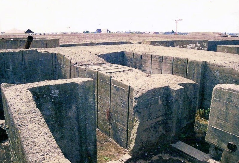 e10.jpg