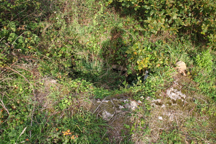 IMG_5465_1.jpg