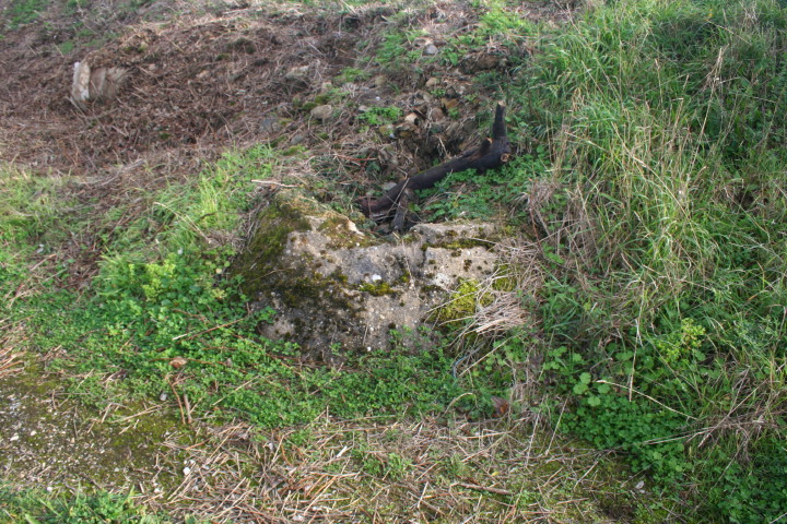 IMG_5466_1.jpg