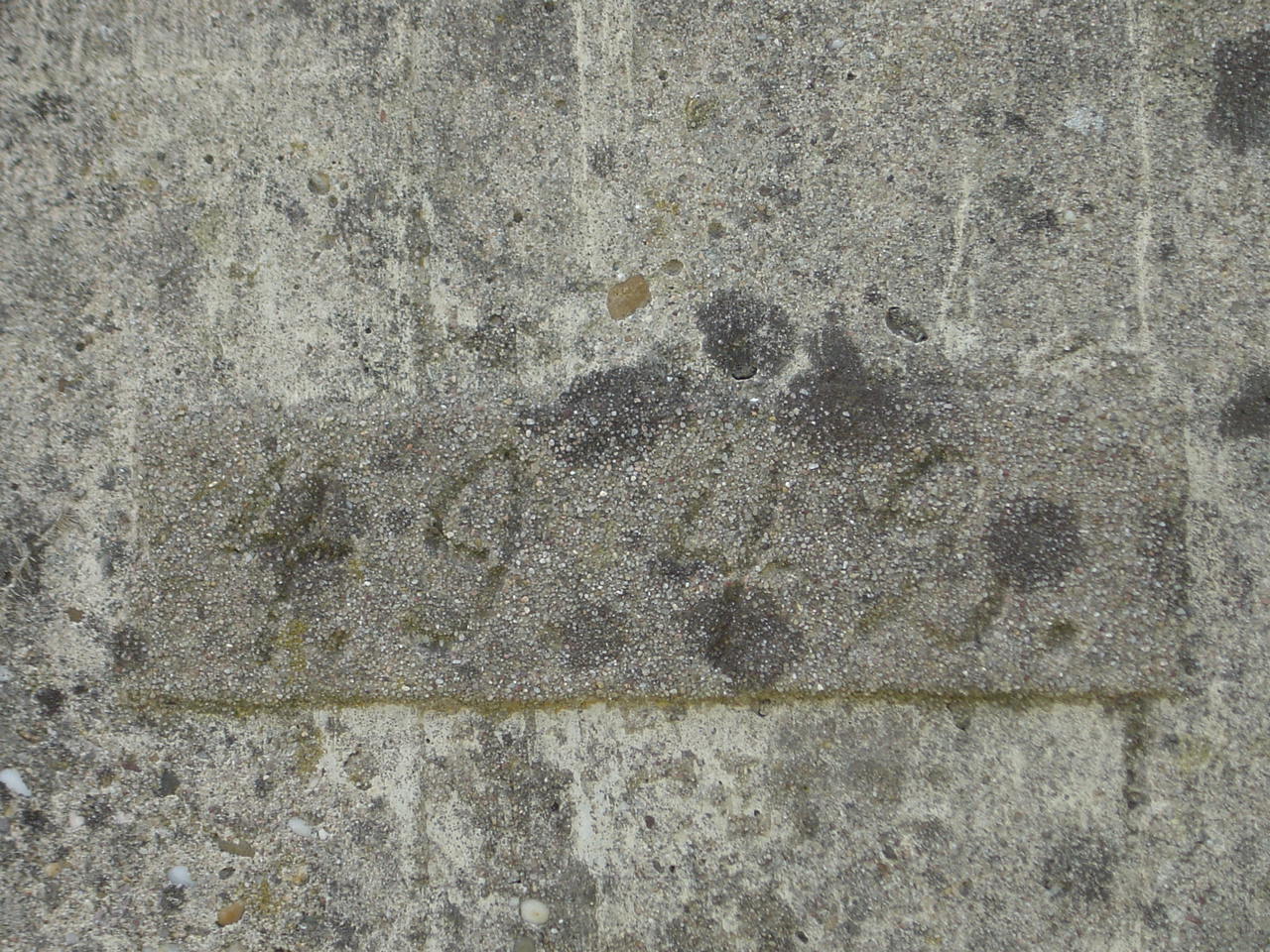 DSC07357.JPG