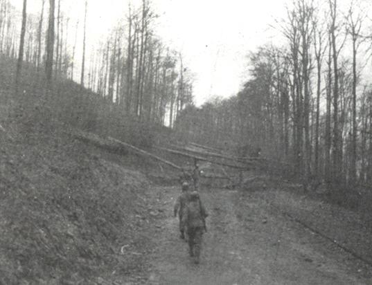 Germans felled trees to create this roadblock, Niederprum, February 1945.jpg