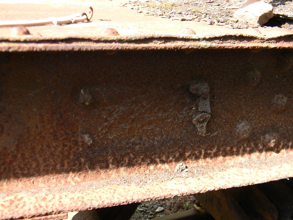 DSCN3961D.jpg