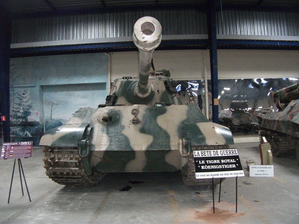 TIGREII(18).JPG
