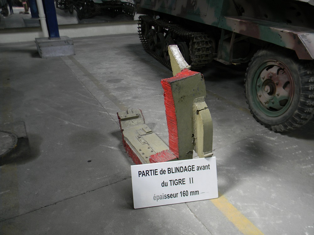 TIGREII(09).JPG