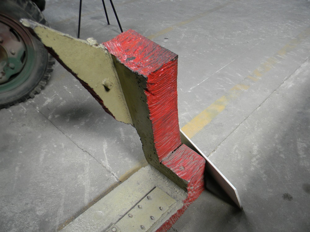 TIGREII(10).JPG