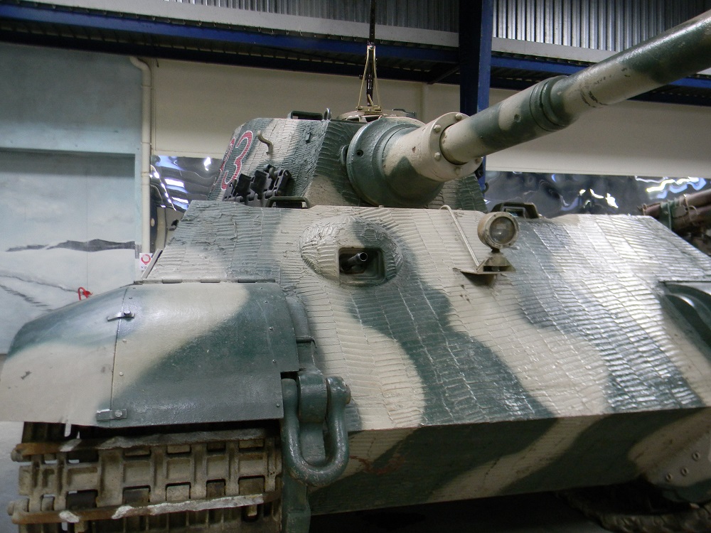 TIGREII(15).JPG