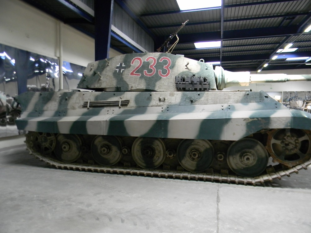 TIGREII(17).JPG