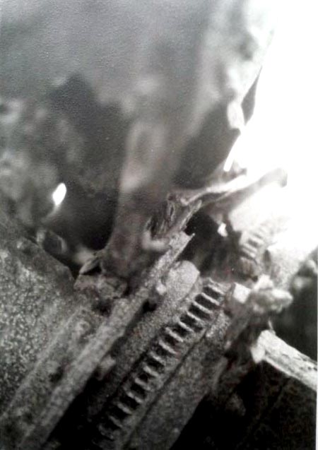 bofors 2.jpg