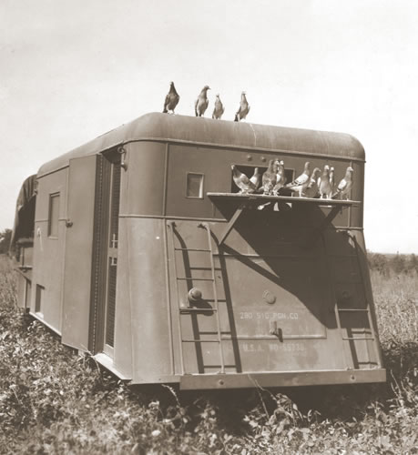 pigeonnier mobile wwII.jpg