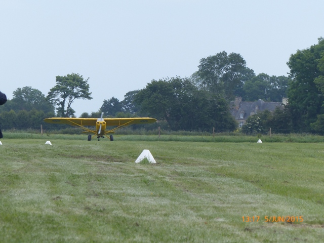 catz pipercub.JPG
