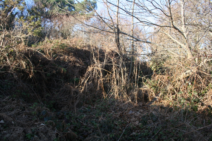 IMG_5581_1.jpg