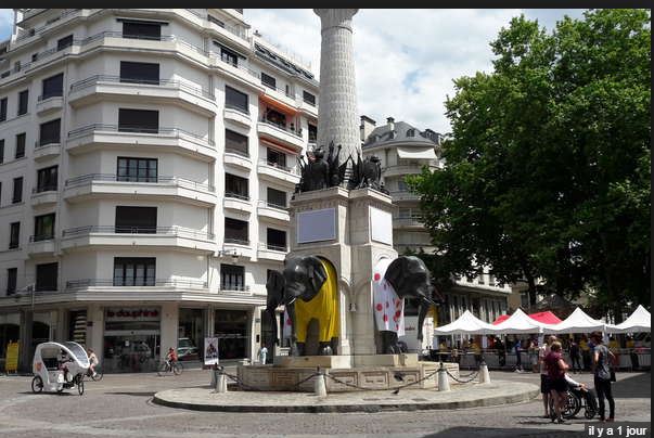 éléphants.JPG