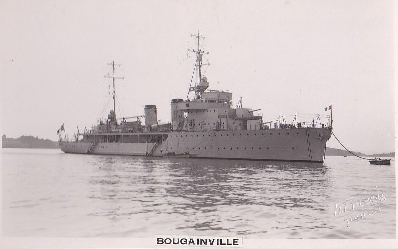 BOUGAINVILLE.jpg