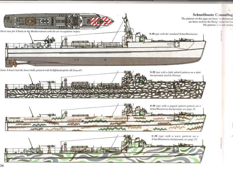 S38 camouflages.jpg
