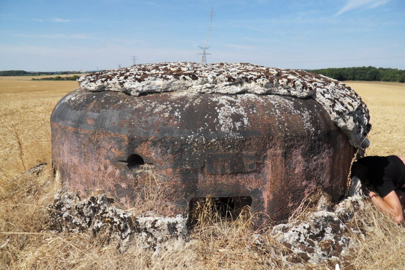 SDC10189.JPG