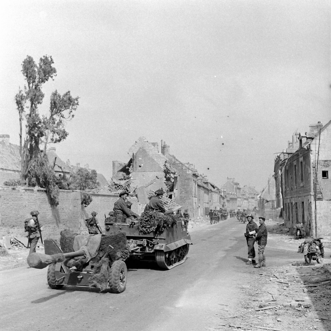 LC001951.jpg