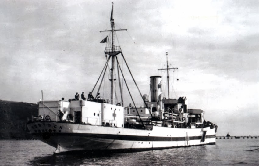 navire hopital Rostock.jpg