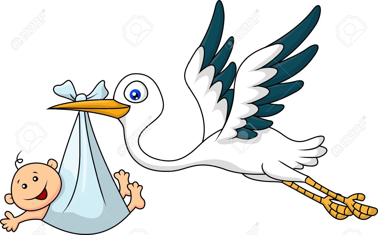 18047039-cigogne-avec-bébé.jpg