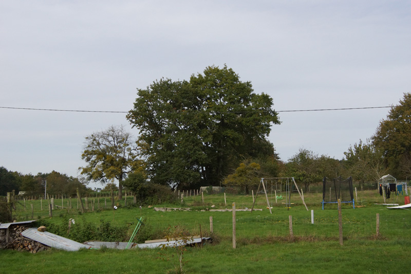DSC02929-1.jpg