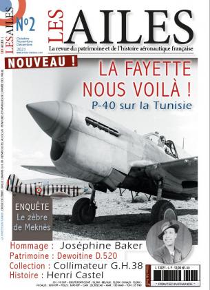 les ailes 2.jpg