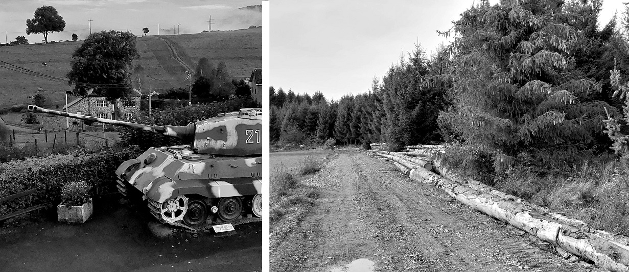 ardennes 2021.jpg