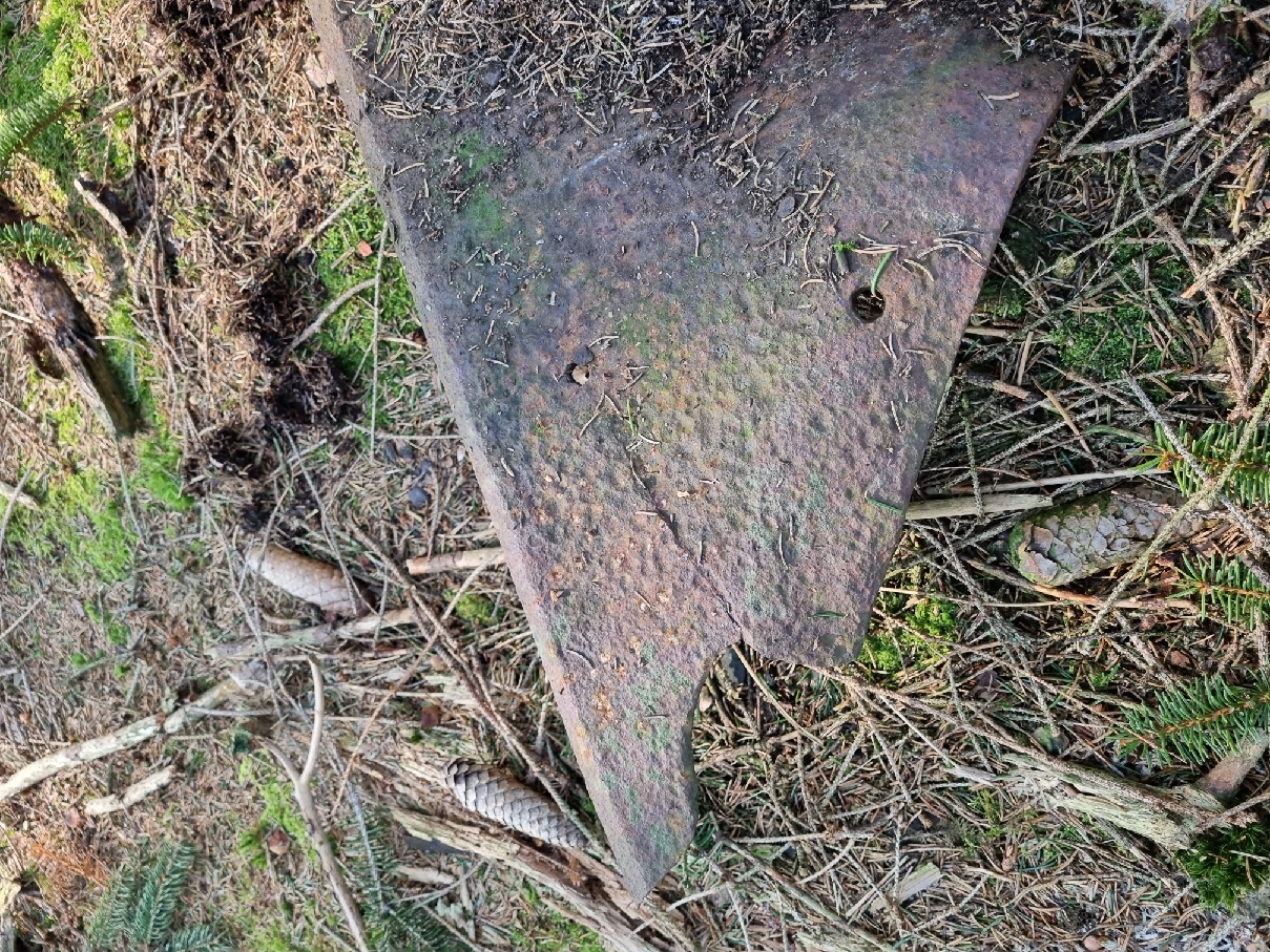 20220303_105328_resize_7.jpg