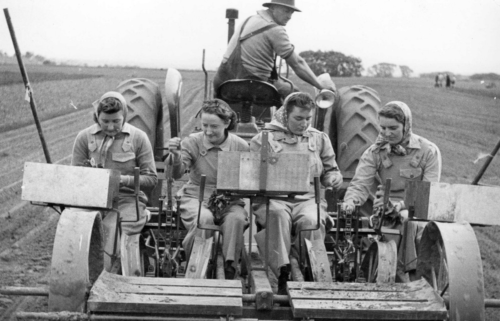 Women of the Australian Women's Land Army at Work  1941-1943.jpeg