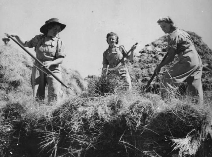 Women's Land Army australiennes.JPG