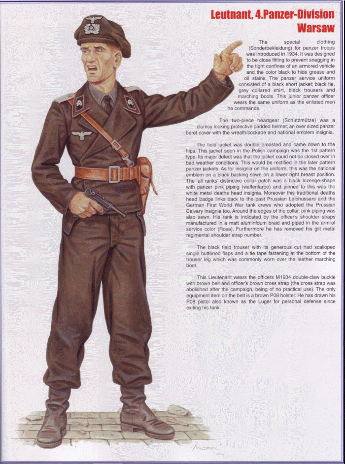 panzer poland.gif