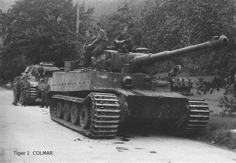 tigre Colmar_bcnp-wot.fr.jpg