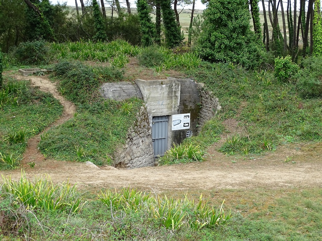 Abri puits - SK.JPG