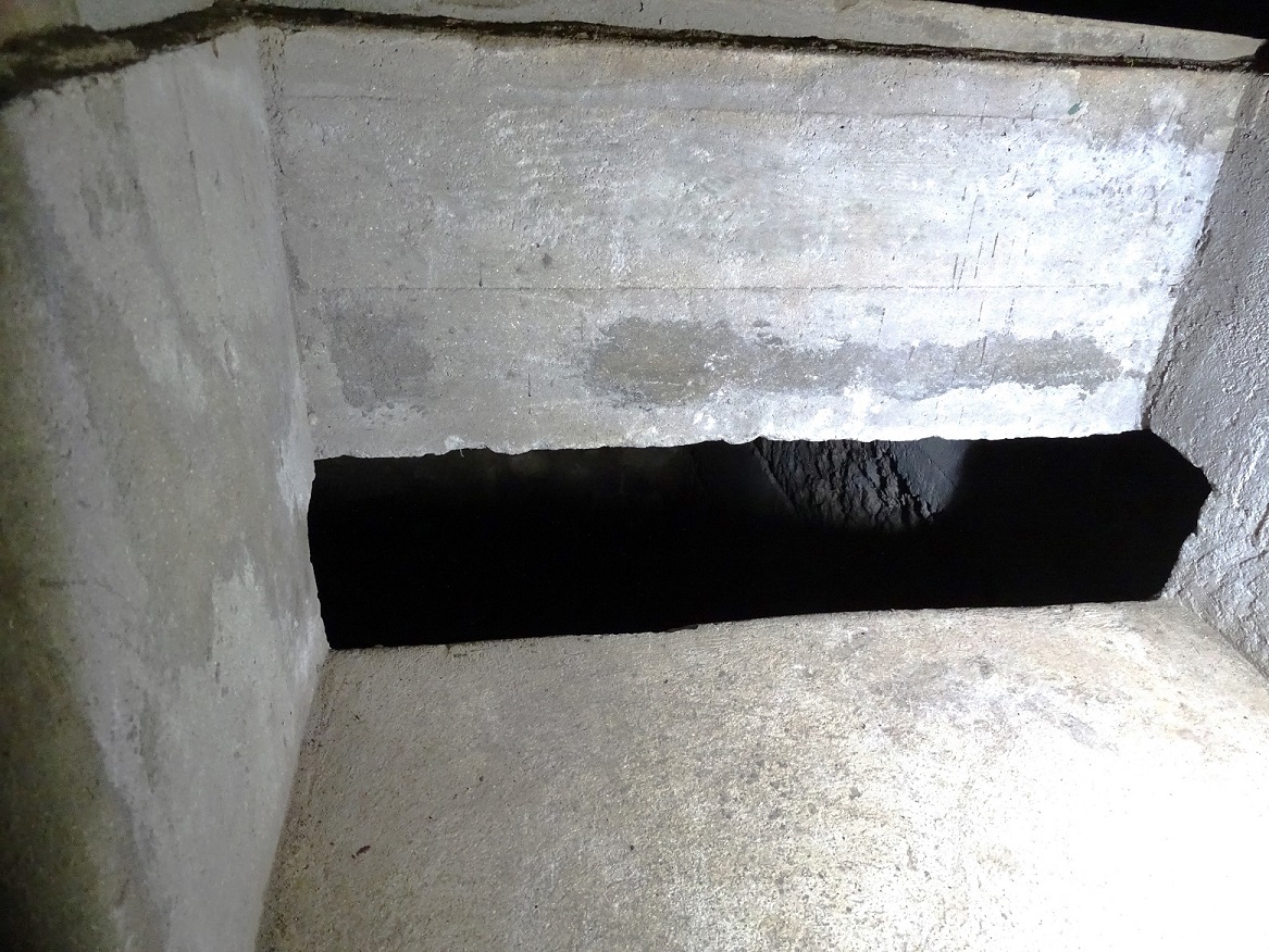 Abri puits regard intérieur de la source.JPG