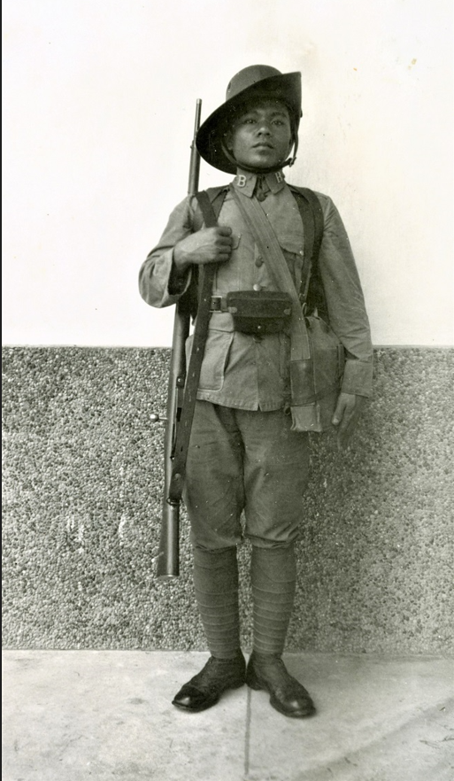 knil coast artillery 1938.png
