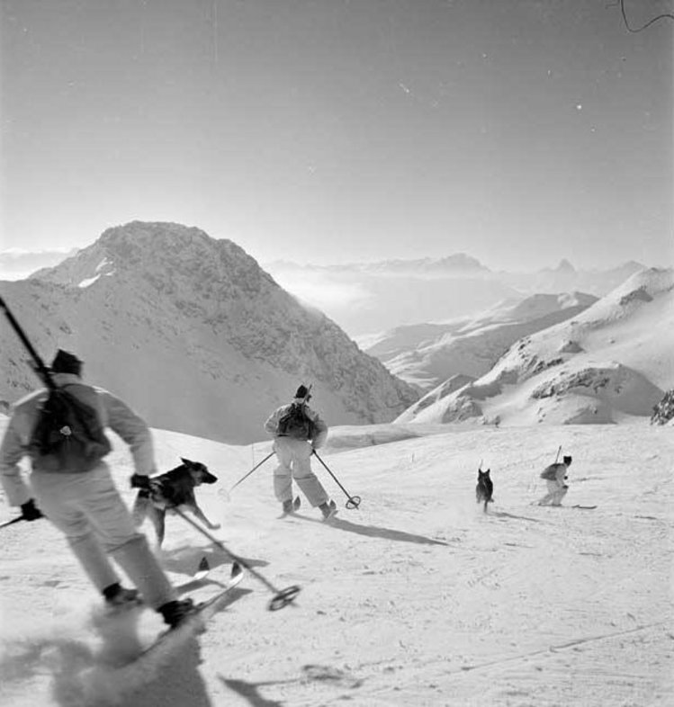 avalanche5.jpg
