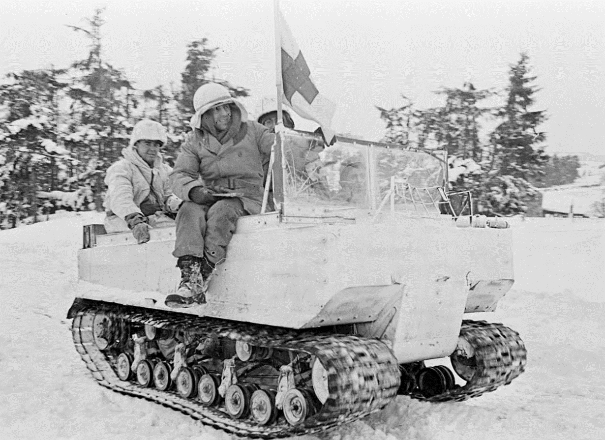 m 29 weasel.gif
