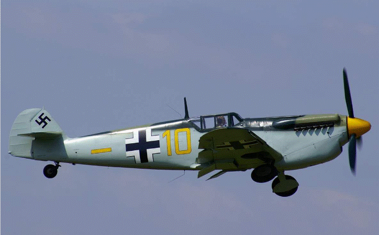 buchon .gif