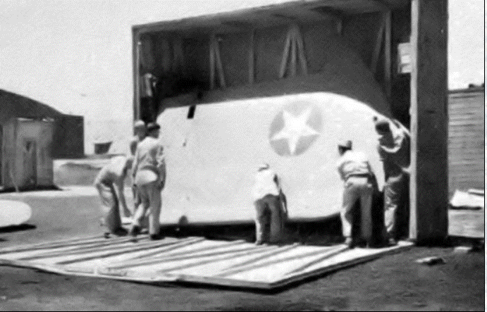 wing 1.gif